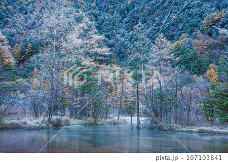 【秋の上高地】田代池の紅葉と霧氷 107103841