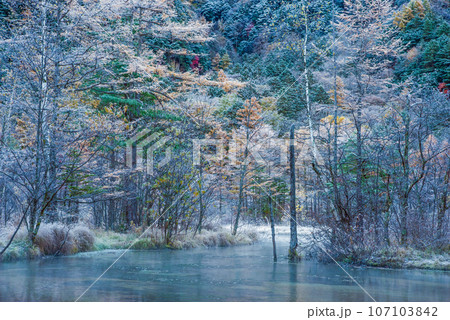【秋の上高地】田代池の紅葉と霧氷 【秋の上高地】田代池の紅葉と霧氷 107103842