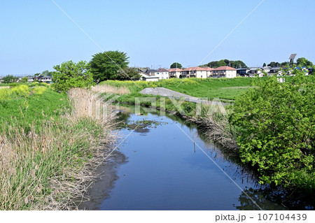 掛樋公園付近の綾瀬川と田園風景 掛樋公園付近の綾瀬川と田園風景 107104439
