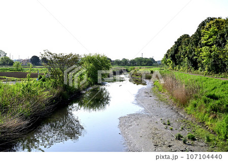 掛樋公園付近の綾瀬川と田園風景 107104440