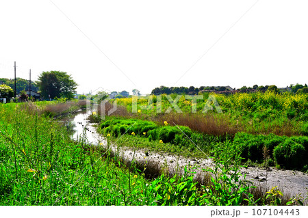 掛樋公園付近の綾瀬川と田園風景 掛樋公園付近の綾瀬川と田園風景 107104443