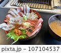 新鮮な海の幸、海鮮丼接写、伊東にて 107104537