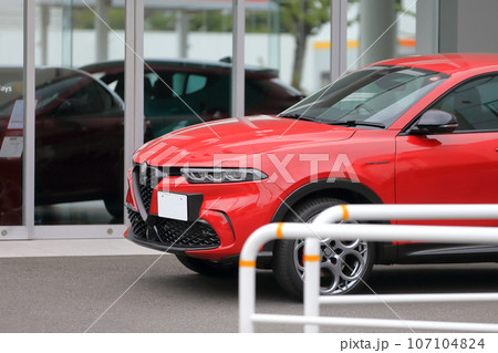 駐車中のイタリア車　イメージ 107104824