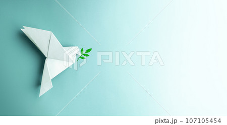 Peace and New Beginnings oPeace and New Beginnings of Hope. A white dove Flying over the Blue background Holds an Olive Branch. World International Peace Day. The Concept of a Fluttering Bird that 107105454