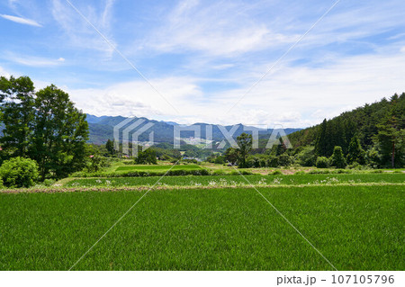 長野県　アルプス展望道路からの景色 107105796