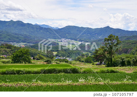 長野県 アルプス展望道路からの景色 長野県 アルプス展望道路からの景色 107105797