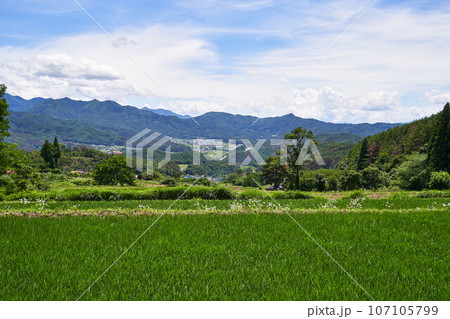 長野県 アルプス展望道路からの景色 長野県 アルプス展望道路からの景色 107105799