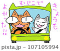 目が大きい猫の無事故 107105994
