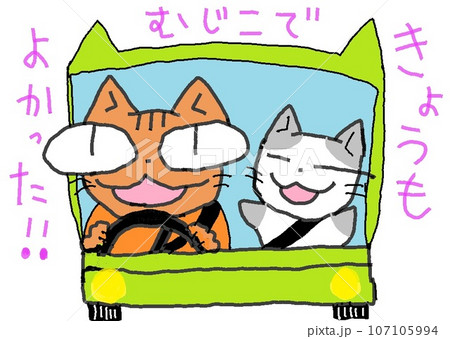 目が大きい猫の無事故 107105994