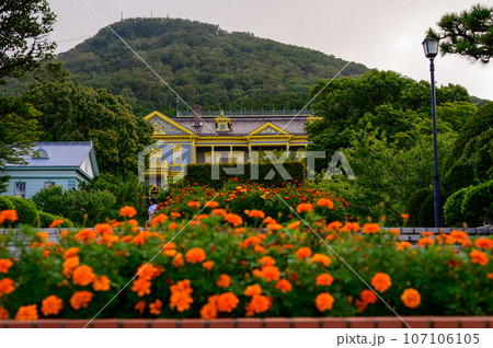 マリーゴールドのある風景 107106105