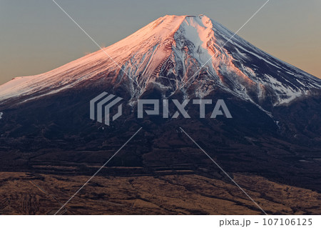 杓子山から見る朝日差す富士山 107106125