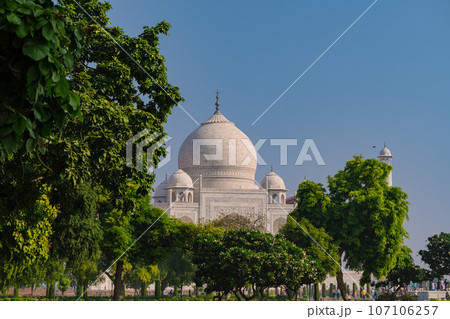 Garlic dome architecture of the Taj Mahal temple, Agra, Uttar Pradesh, India is built of white marble 107106257