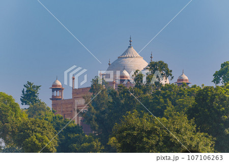 Garlic dome architecture of the Taj Mahal temple, Agra, Uttar Pradesh, India is built of white marble 107106263