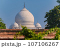 Garlic dome architecture of the Taj Mahal temple, Agra, Uttar Pradesh, India is built of white marble 107106267