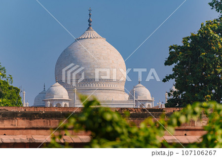 Garlic dome architecture of the Taj Mahal temple, Agra, Uttar Pradesh, India is built of white marble 107106267