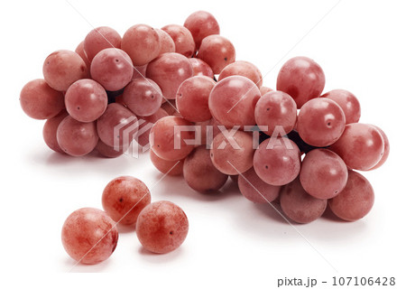日本のぶどう、安芸クイーン 107106428