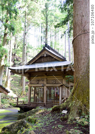 穴森神社・穴森神社拝殿 穴森神社・穴森神社拝殿 107106480