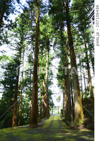 穴森神社・参道 穴森神社・参道 107106486