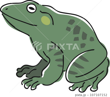 手描きのウシガエルのイラストのイラスト素材 [107107152] - PIXTA