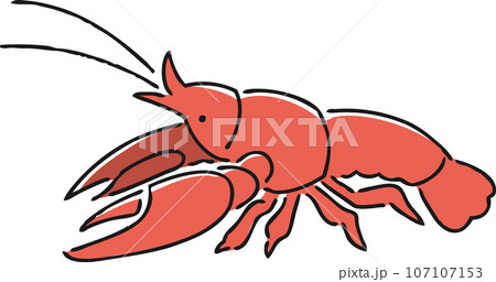 手描きのアメリカザリガニのイラスト 107107153