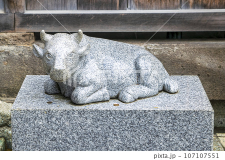 東京都・北区 赤羽八幡神社(あかばねはちまんぐう) 学問の撫で牛 東京都・北区 赤羽八幡神社(あかばねはちまんぐう) 学問の撫で牛 107107551
