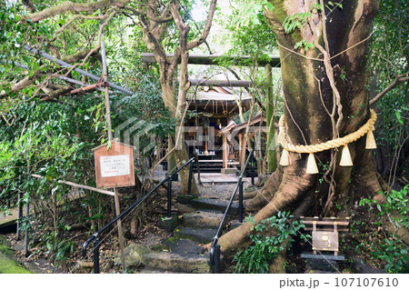 八大龍王水神と御神木 八大龍王水神と御神木 107107610