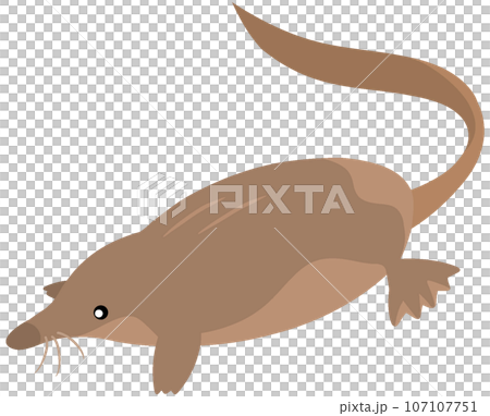 ロシアデスマンのイラスト素材 [107107751] PIXTA