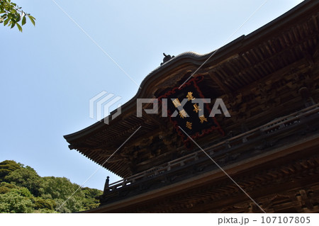 鎌倉　初夏の建長寺 107107805