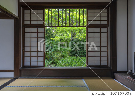 京都・源光庵　迷いの窓　新緑の季節 107107905