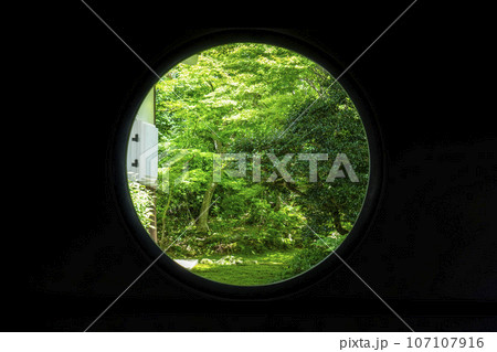 京都・源光庵　悟りの窓　新緑の季節 107107916