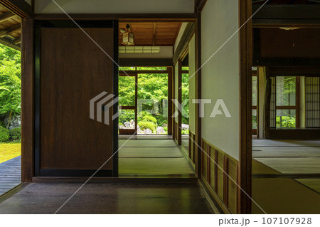 源光庵　日本庭園　鶴亀の庭（京都市北区鷹峯） 107107928