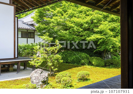 源光庵　日本庭園　鶴亀の庭（京都市北区鷹峯） 107107931