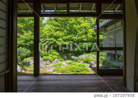 源光庵　日本庭園　鶴亀の庭（京都市北区鷹峯） 107107938