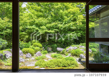 源光庵　日本庭園　鶴亀の庭（京都市北区鷹峯） 107107939