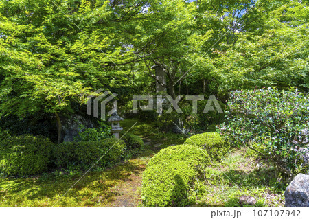 源光庵 日本庭園 鶴亀の庭(京都市北区鷹峯) 源光庵 日本庭園 鶴亀の庭(京都市北区鷹峯) 107107942