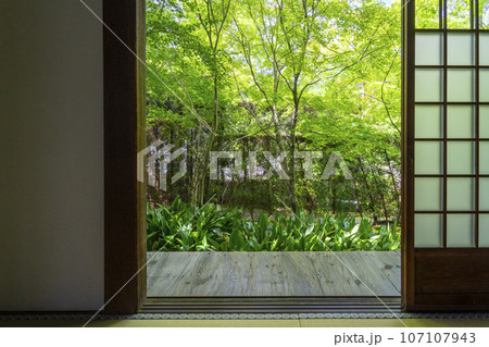 源光庵　日本庭園（京都市北区鷹峯） 107107943