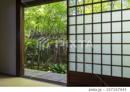 源光庵 日本庭園(京都市北区鷹峯) 源光庵 日本庭園(京都市北区鷹峯) 107107945