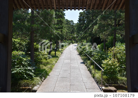 鎌倉　建長寺本派専門道場 107108179