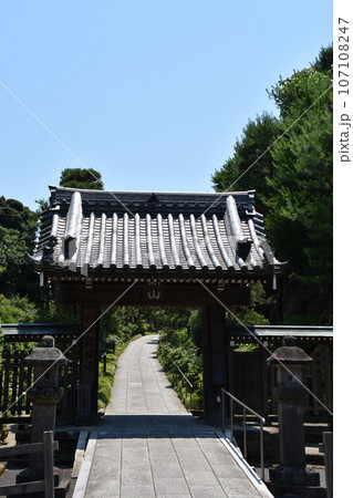 鎌倉 建長寺本派専門道場 鎌倉 建長寺本派専門道場 107108247