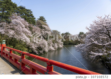 富山県のさくらの名所・高岡古城公園 107108572