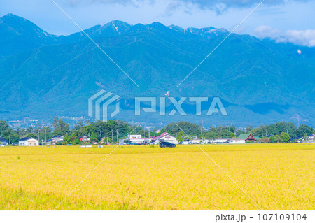 【秋素材】安曇野の実りの秋【長野県】 107109104
