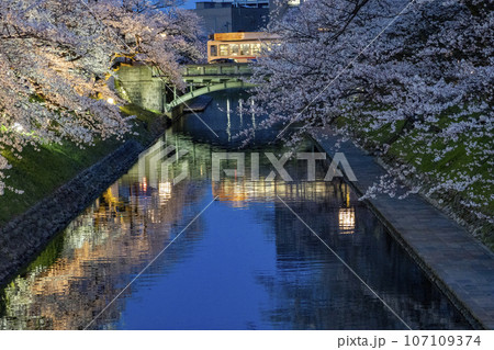富山県のさくらの名所・松川ベリの夜桜 富山県のさくらの名所・松川ベリの夜桜 107109374