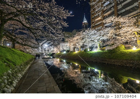 富山県のさくらの名所・松川ベリの夜桜 107109404