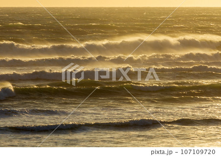 静岡県掛川市国安　菊川河口の風景 107109720