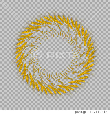 Spikes of wheat isolated, barley or rye are woven into one bundle on a transparent background 107110812