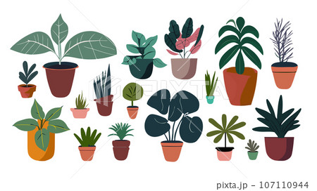 さまざまな観葉植物のイラスト セット さまざまな観葉植物のイラスト セット 107110944