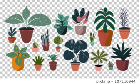 さまざまな観葉植物のイラスト セット さまざまな観葉植物のイラスト セット 107110944