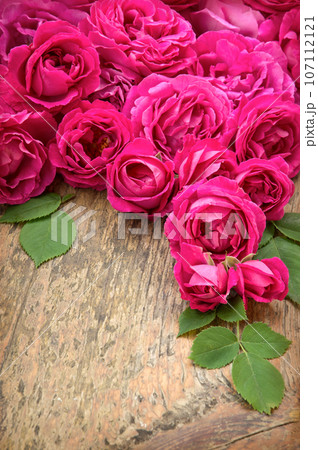 Pink roses on wooden background Pink roses on wooden background 107112121