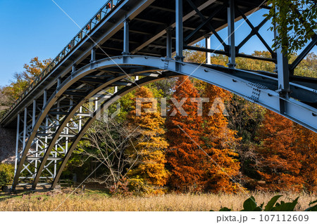 紅葉したラクウショウと公園の池に架かる橋(千葉県船橋市・船橋アンデルセン公園) 紅葉したラクウショウと公園の池に架かる橋(千葉県船橋市・船橋アンデルセン公園) 107112609