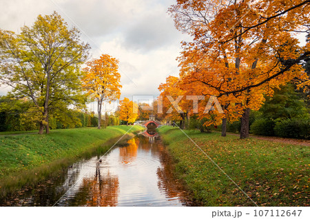 The Cross Bridge in autumn. Golden autumn in Catherine Park, Tsarskoye Selo. Old city park with bright autumn golden maples on a sunny day. The Cross Bridge in autumn. Golden autumn in Catherine Park, Tsarskoye Selo. Old city park with bright autumn golden maples on a sunny day. 107112647